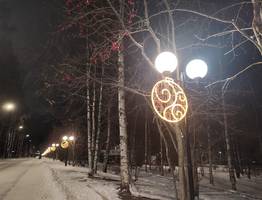 Погода в Коми 23 января: снег и ветер, но потеплеет