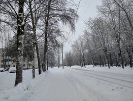 Погода в Коми на 26 января: сильный снег и +3°С