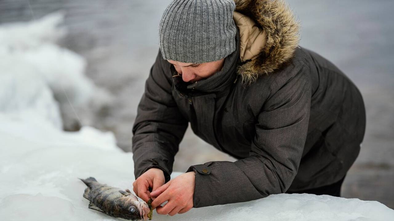 В Коми более 400 человек профессионально занимаются рыбалкой