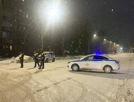 Полиция нашла в Сыктывкаре шестерых нелегалов