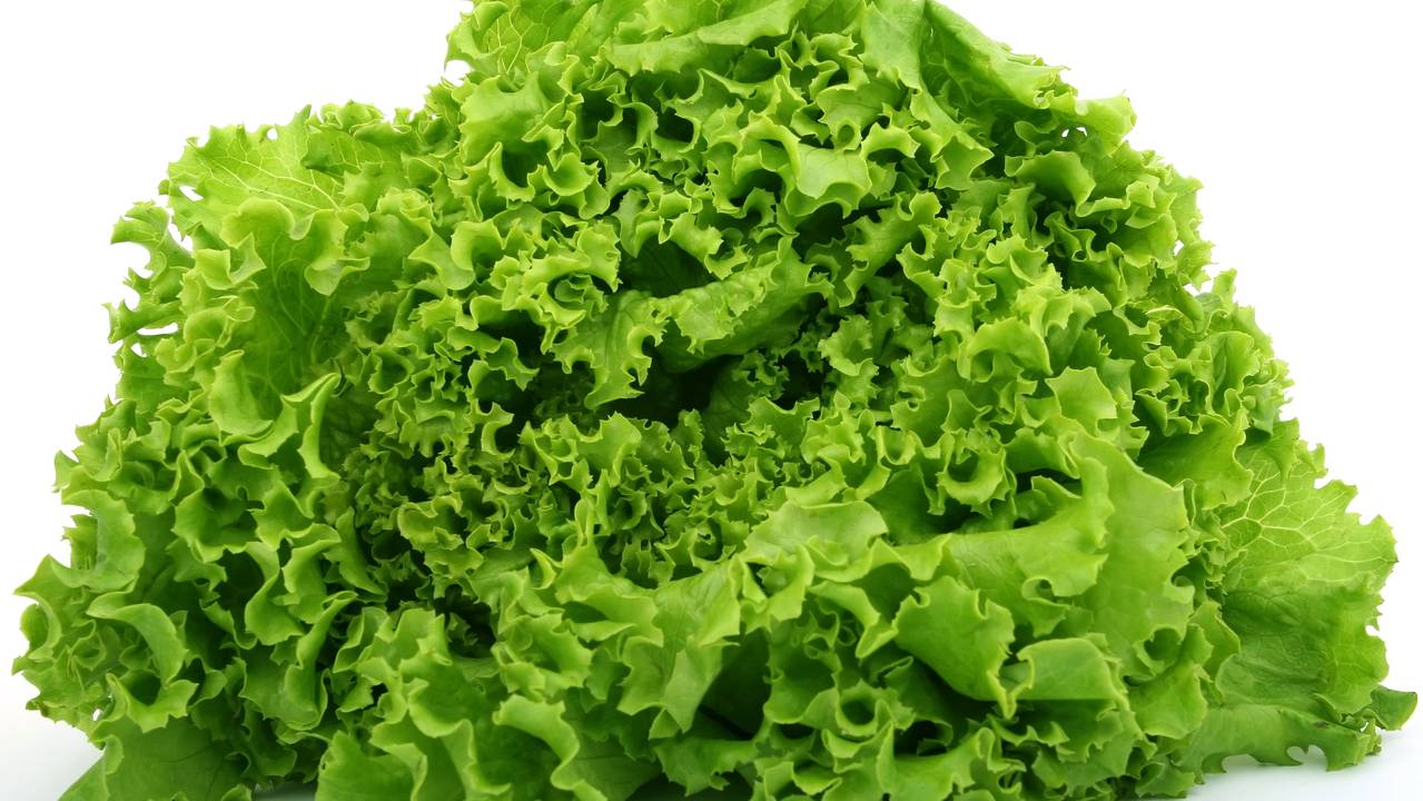 Главная картинка новости: Скупите всю пекинку в ближайших магазинах: вкусный и сытный салат на скорую руку — пару минут, и он готов