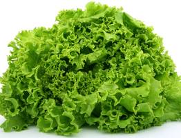 Скупите всю пекинку в ближайших магазинах: вкусный и сытный салат на скорую руку — пару минут, и он готов