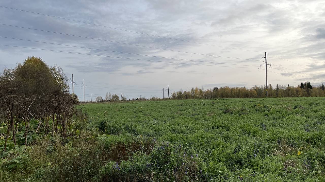 Главная картинка новости: Аномальная жара наступит в начале марта: лето наступит на два месяца раньше