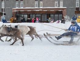 Национальный праздник "Быстроногий олень" в Инте состоится только в 2026 году