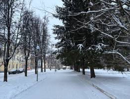 Погода в Коми 14 февраля: заметно похолодает, в Воркуте до -33°С