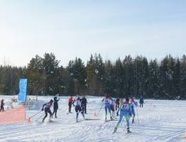 В Коми стартуют чемпионат и первенство по лыжным гонкам