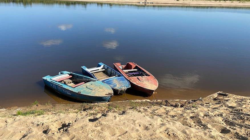 Главная картинка новости: Каким будет лето 2025 после аномально жаркой зимы: эксперты объяснили, к чему нужно готовиться садоводам