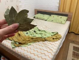 Кладу лавровый лист под подушку и наслаждаюсь эффектом: совет от бабушки, который стоит запомнить навсегда