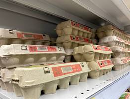 Конвейерные пустышки: в Роскачестве назвали какие марки яиц находятся черного списка