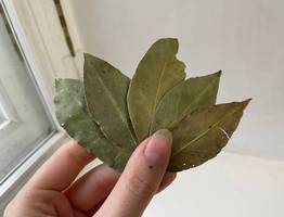 Перемолола "лаврушку" — и посыпала у порога: теперь живу совершенно спокойно — перемены в доме только радуют