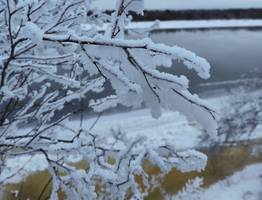 Сильный снегопад и гололед: зима не отступает из Коми