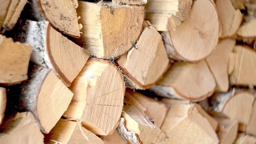 Главная картинка новости: Предпринимателя из Коми оштрафовали за нарушение фитосанитарных норм