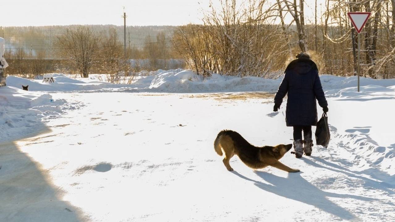 Главная картинка новости: От 60 лет и старше: пенсионеров ждет новая льгота с 5 марта