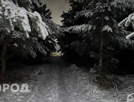 Поиски завершены: в Коми нашли пропавшего мужчину