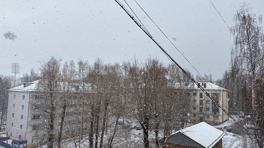 Главная картинка новости: Мороз, снег и туман: как встретит Коми Международный женский день