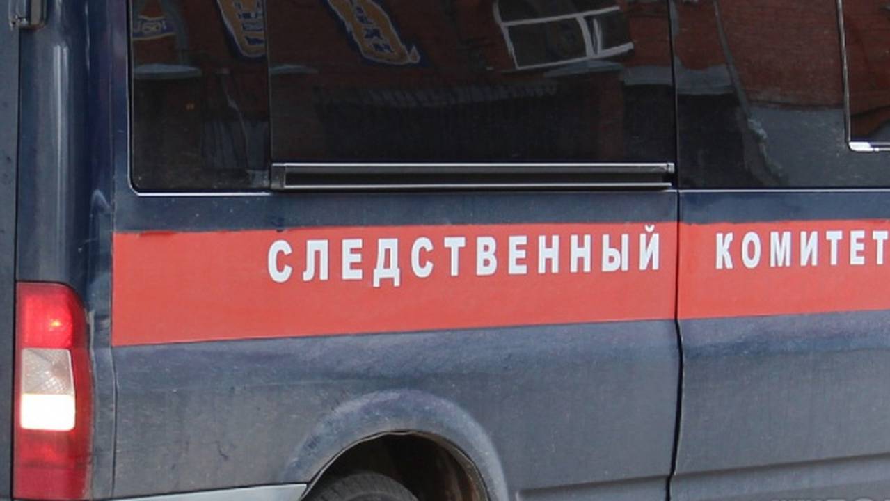 Несовершеннолетний закладчик задержан в Коми: возбуждено уголовное дело