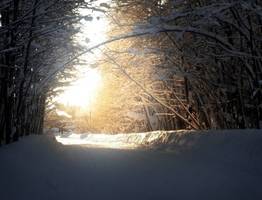 Небольшой снег и порывистый ветер ожидаются в Коми 11 марта