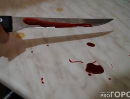 Жительница Коми убила подругу ножом во время пьяной ссоры