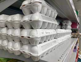 Конвейерные пустышки: в Роскачестве назвали какие марки яиц не прошли проверку