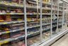 Миниатюра новости: Комистат заявил о подорожании ряда продуктов питания