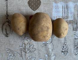 В Коми активно готовится к началу весенне-полевых работ