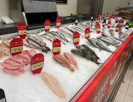 Названа самая полезная для человека рыба — нужно есть два раза в неделю. Богата селеном, фосфором и прекрасна на вкус