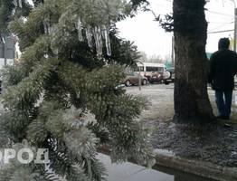 Коми встретит среду мокрым снегом и порывистым ветром