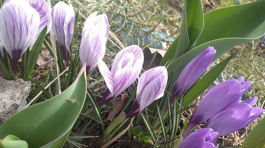 Главная картинка новости: Погода в Коми ставит рекорды: в столице теплее нормы на 9 градусов