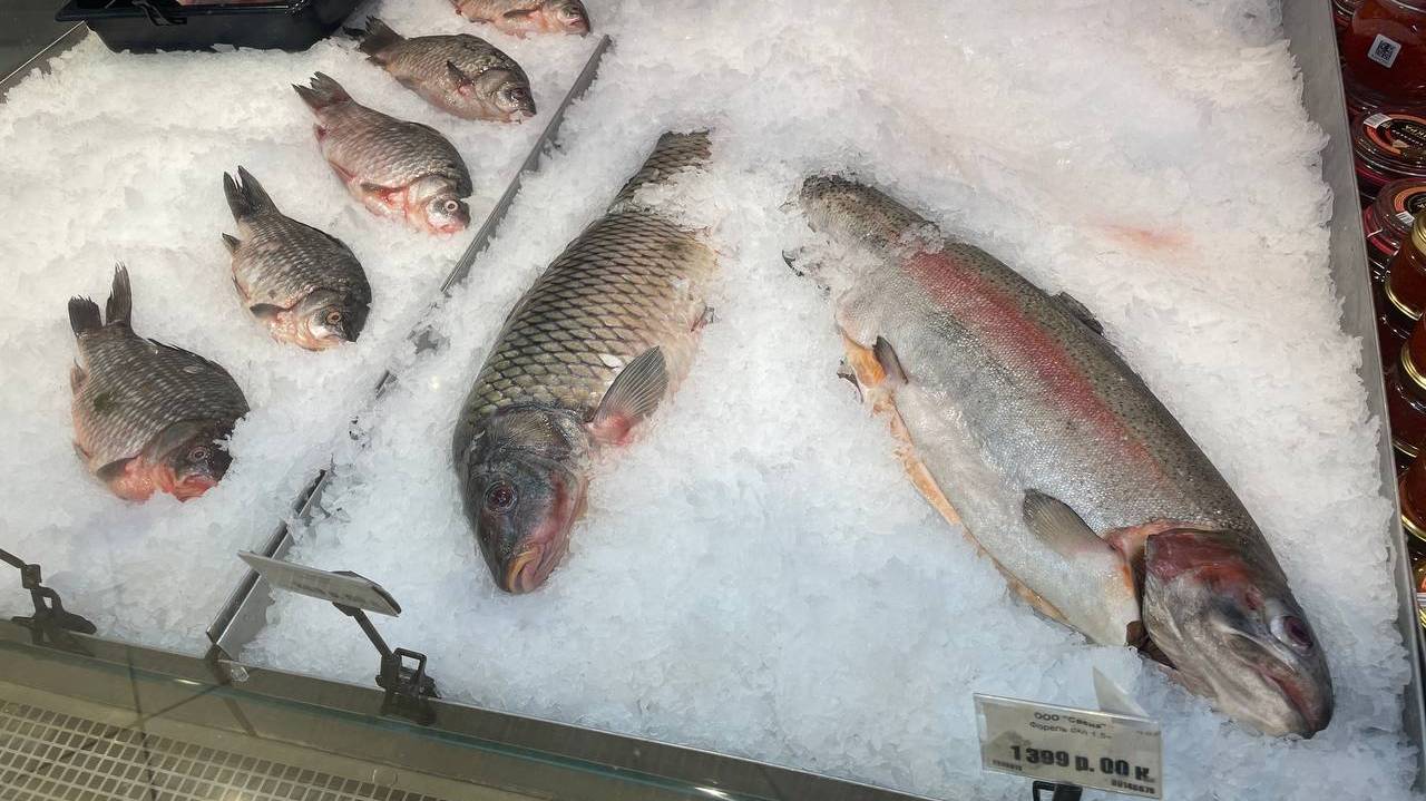 Главная картинка новости: Названа самая полезная для человека рыба — нужно есть два раза в неделю. Богата селеном, фосфором и великолепна на вкус