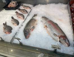 Названа самая полезная для человека рыба — нужно есть два раза в неделю. Богата селеном, фосфором и великолепна на вкус