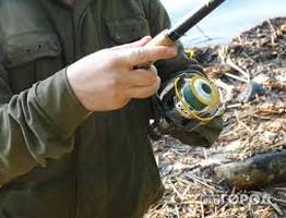 Жителя Коми “оштрафовали” за незаконный улов язя