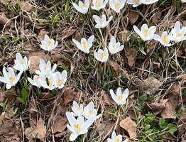 Жителям Коми рассказали, когда ждать настоящее весеннее тепло