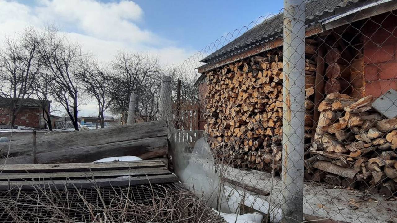 В Коми директор учреждения подозревается в хищении миллионов на дровах