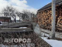 В Коми директор учреждения подозревается в хищении миллионов на дровах
