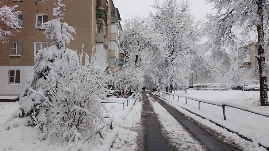 Главная картинка новости: "Это ещё цветочки": синоптик Вильфанд назвал новый прогноз на ближайшие дни в регионах РФ