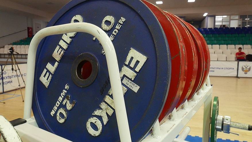 Главная картинка новости: Талантливые спортсмены из Коми получат премии за свои достижения