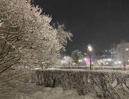 Коми ждет переменчивая погода: от небольшого снега до весеннего тепла