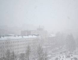 В Коми ожидается снегопад и порывистый ветер: погода на 9 апреля