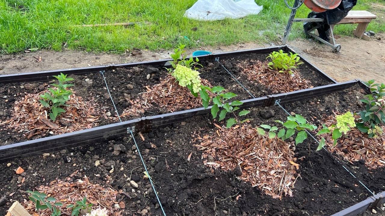 Лучше этого не делать: 4 «нельзя» для огородника в апреле 2025 — «красный флаг» для дачников
