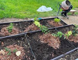 Лучше этого не делать: 4 «нельзя» для огородника в апреле 2025 — «красный флаг» для дачников