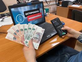 Жительница Коми лишилась денег, пытаясь купить щенка мальтипу