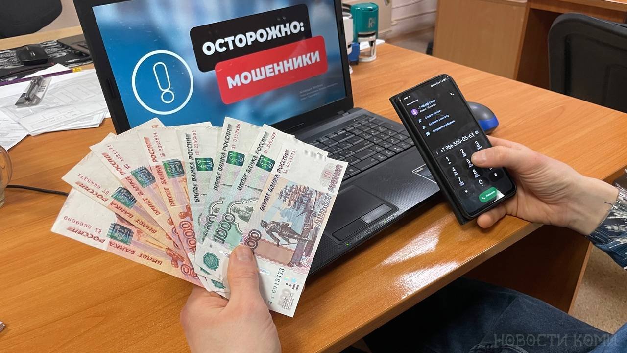 Жительница Коми лишилась денег, пытаясь купить щенка мальтипу