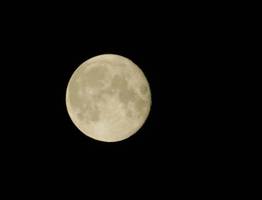 Школьник из Коми представил республику на олимпиаде по астрономии