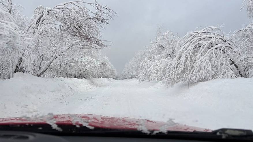 Главная картинка новости: "Май подложит нам всем свинью": синоптики прогнозируют одно из сильнейших похолодание весной-2025
