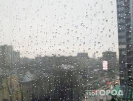 Погода в Коми: 22 апреля ожидается сырость и сильный ветер