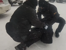 В Коми пресекли масштабную схему фиктивных браков для мигрантов