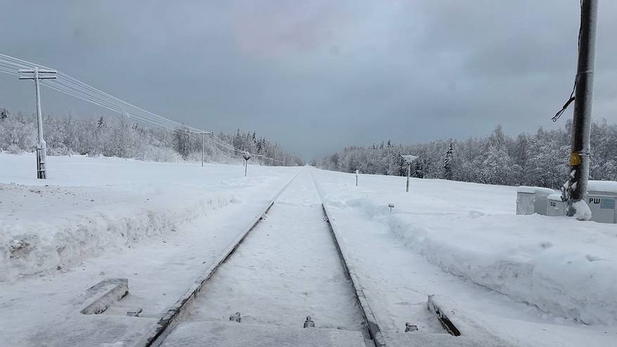 Главная картинка новости: "Май подложит нам всем огромную свинью": синоптики прогнозируют одно из сильнейших похолодание весной-2025