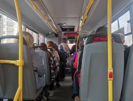 Гольдштейн отправит мэра столицы Коми проверять транспортную реформу лично