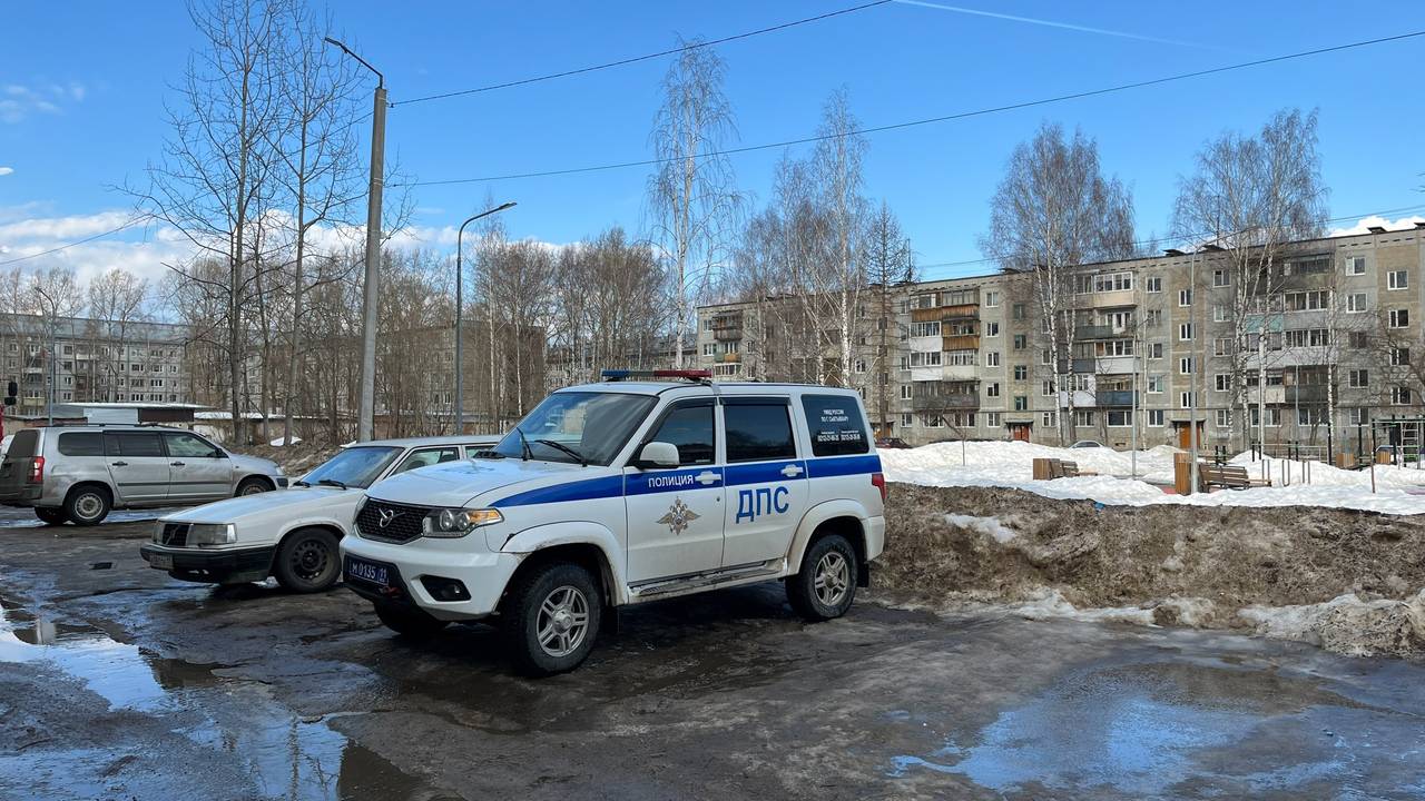 Полицейские из Коми пресекли вооруженное нападение с ножом