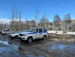 Полицейские из Коми пресекли вооруженное нападение с ножом